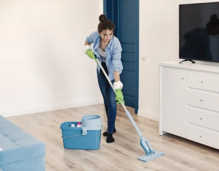 Femme de ménage Pailloles